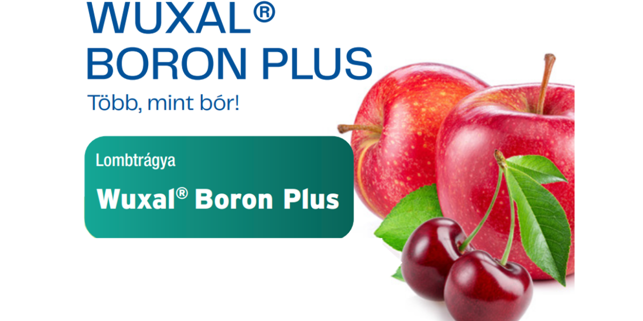 Wuxal Boron Plus – Több, mint bór (x)