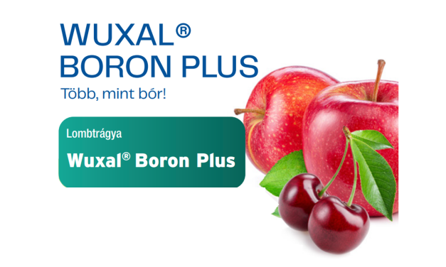 Wuxal Boron Plus – Több, mint bór (x)
