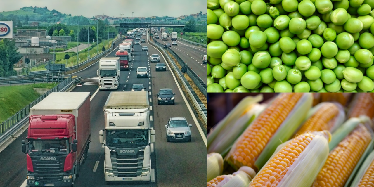 A Kormány nem támogatta az ipari zöldségek „EKÁER-mentességét”