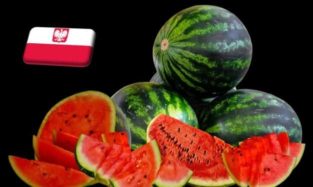 Lengyelország: ötéves rekordot döntött a görögdinnye ára