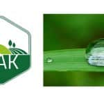 Újabb növényvédő szerek érhetők el a kiskultúrás termesztésben 