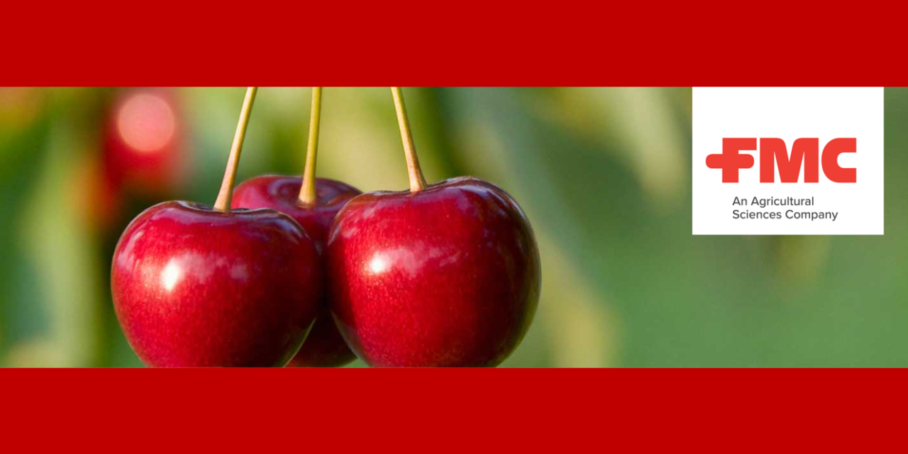 A kiváló minőségben betakarítható gyümölcsökért -FMC-Agro (x)