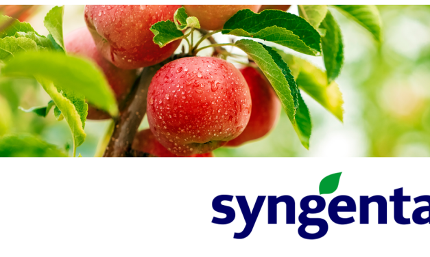 Széleskörű lehetőségek az alma kártevői ellen -Syngenta (x)