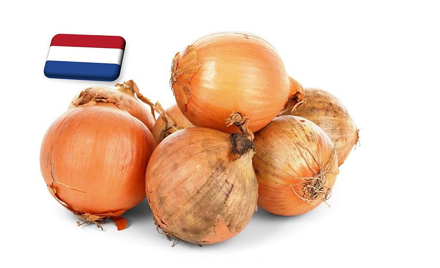 Hollandia: megmentette a múlt heti csapadék a hagymatermést