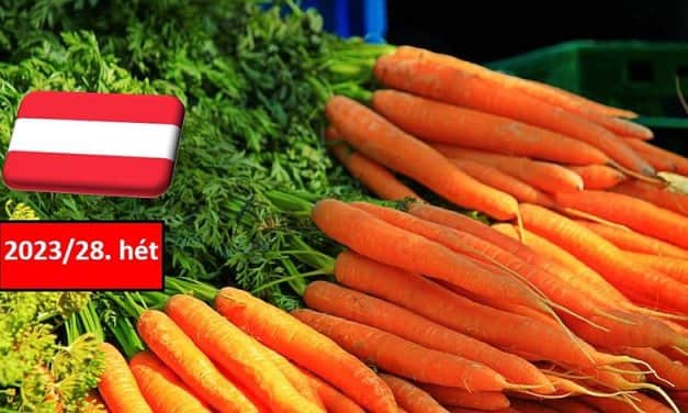 Ausztria: a 28. héten is csúcson az új termésű sárgarépa ára