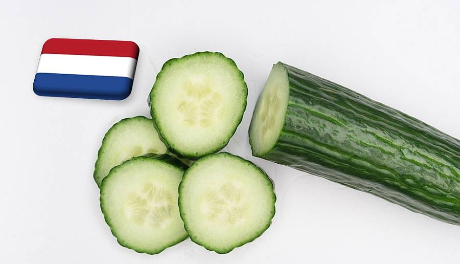 Hollandia: július közepére kecmergett ki a gödörből az uborka ára