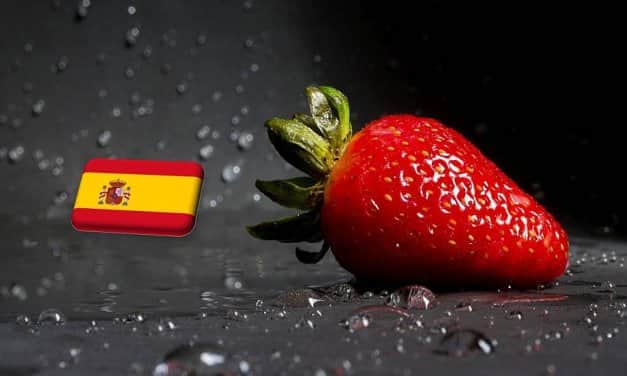 Spanyolország: 10%-kal maradt el a tavalyitól a szamócatermés Huelvában