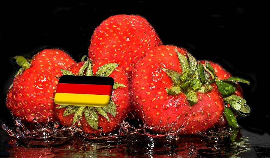 Németország: javaslat a vízigényes növénykultúrák betiltására
