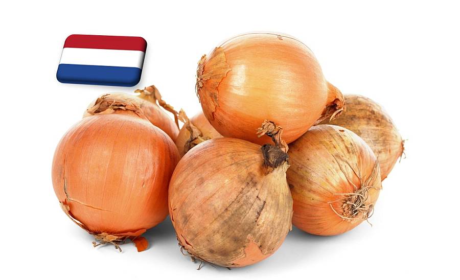 Hollandia: a magas árak miatt változnak a hagymaexport célországai