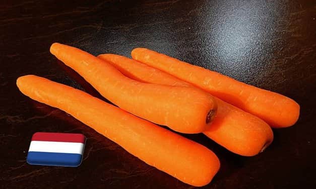 Hollandia: stabilizálódott a sárgarépa ára