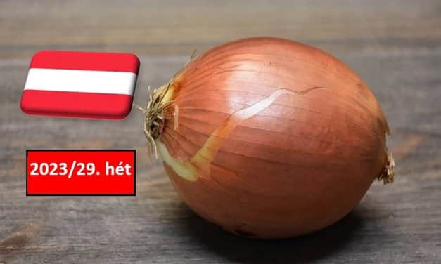 Ausztria: a 29. héten ismét csökkent a vöröshagyma nagybani ára