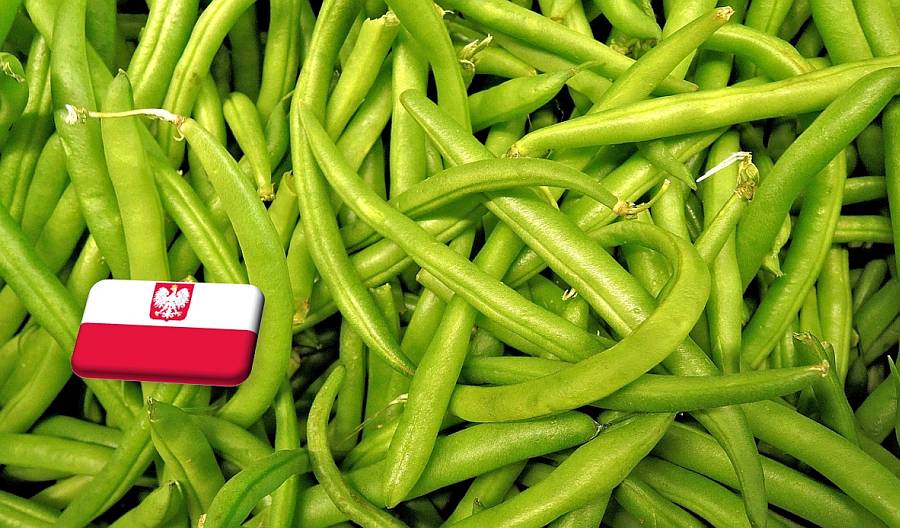 Lengyelország: folyamatosan csökken a zöldbab nagykereskedelmi ára