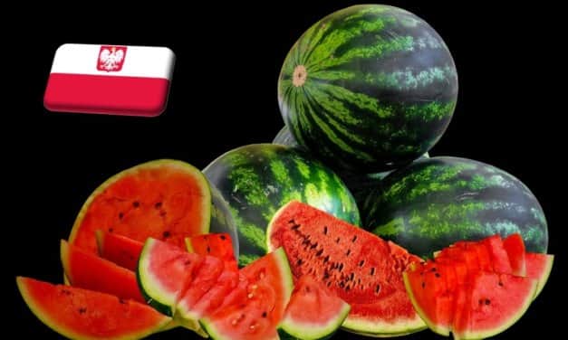 Lengyelország: továbbra is magas a görögdinnye ára a nagybani piacokon