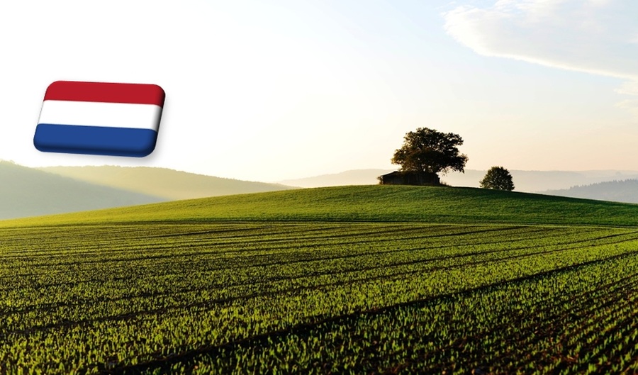 Hollandia: átlagosan 8%-kal csökkentek a földárak az idei évben