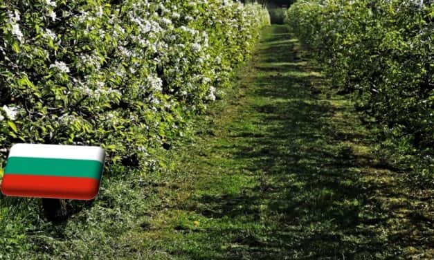 Bulgária: súlyos gondokkal küzd a gyümölcságazat, alig van termés az idén