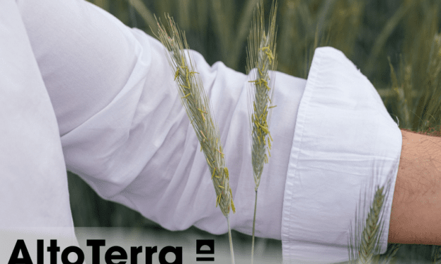 Ezért szükséges az őszi kalászos gabonafélék vetőmagját a gombaölő csávázószer mellett Primseed® magtrágyával is kezelni! – Altoterra (x)