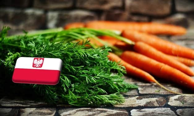 Lengyelország: augusztus közepén nagyot esett a sárgarépa ára