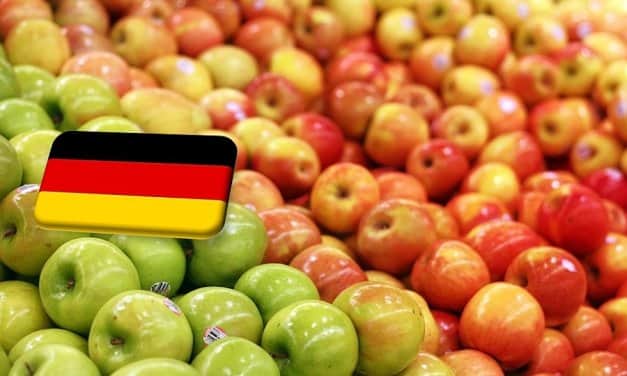 Németország: a 2022-eshez képest 17%-kal kisebb almatermés várható