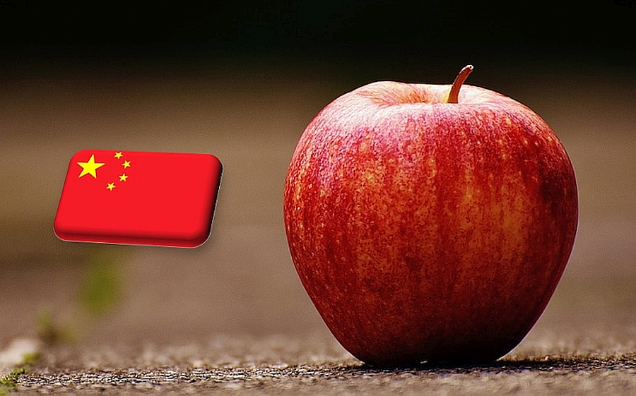 Kína: komoly átrendeződés folyik a világ legnagyobb almatermesztő országában