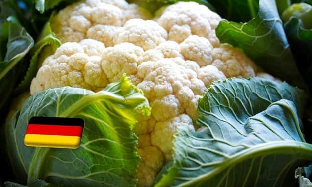Németország: egy héten belül 28%-kal emelkedett a karfiol ára a boltokban