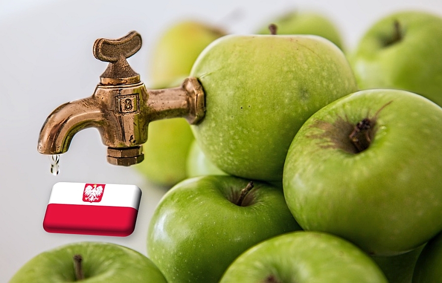 Lengyelország: magasan indulnak a léalmaárak a szezon elején