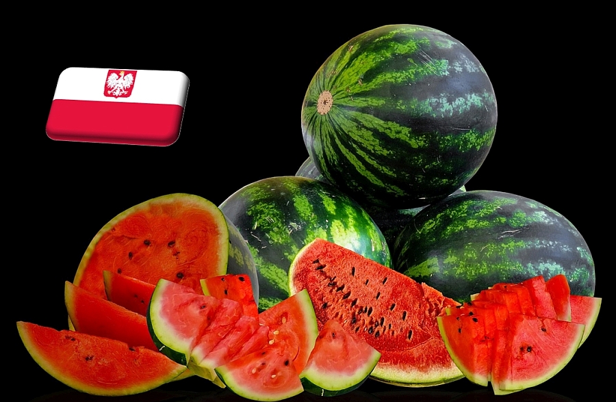 Lengyelország: magasabb árak, kisebb termés jellemzi az idei görögdinnye-piacot