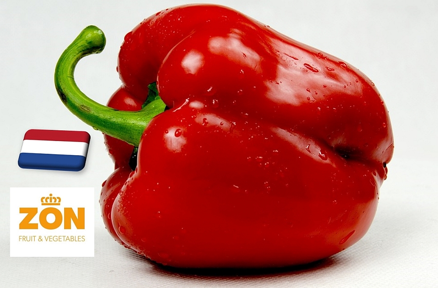 Hollandia: augusztus végére jelentősen emelkedett a paprika ára