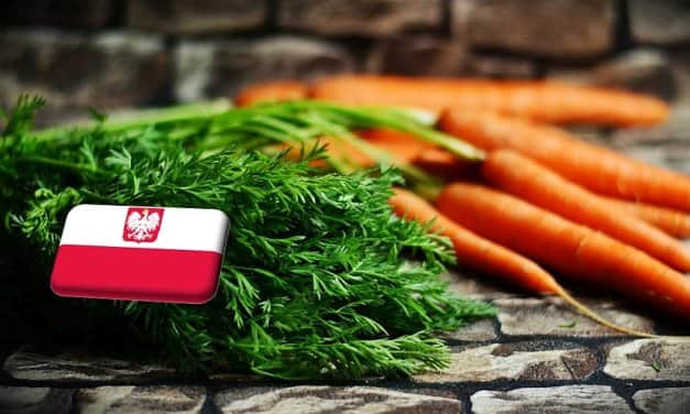 Lengyelország: jelentősen mérséklődött a sárgarépa ára