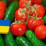 Ukrajna: szokatlan időjárás késleltette idén a zöldségtermesztést 