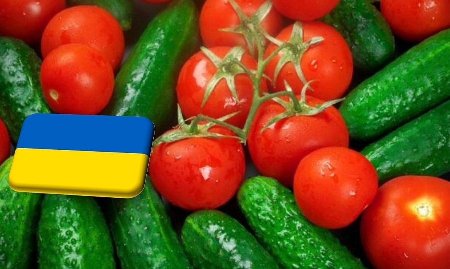 Ukrajna: szeptember elején csökkent a zöldségfélék ára