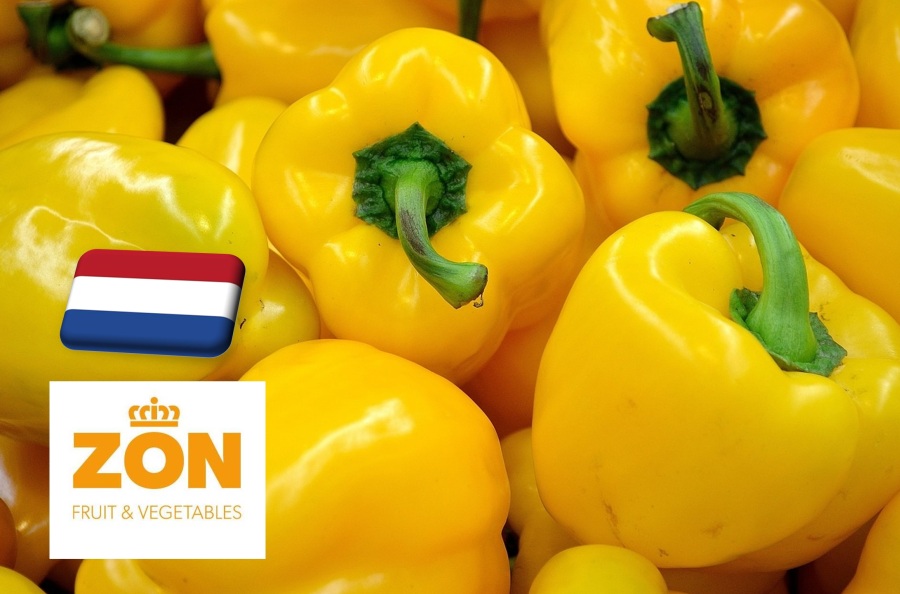 Hollandia: szeptember elején emelkedni kezdett a sárga paprika ára
