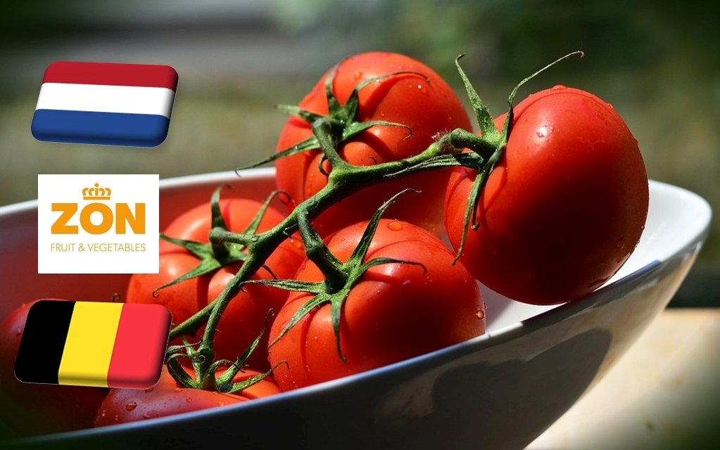 Hollandia: szeptember közepén jelentősen emelkedett a paradicsom ára