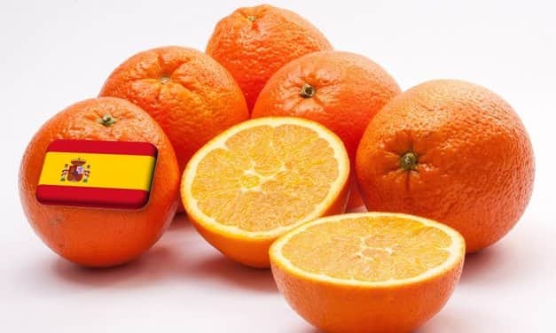 Spanyolország: még a tavalyinál is kisebb narancstermés várható az idén