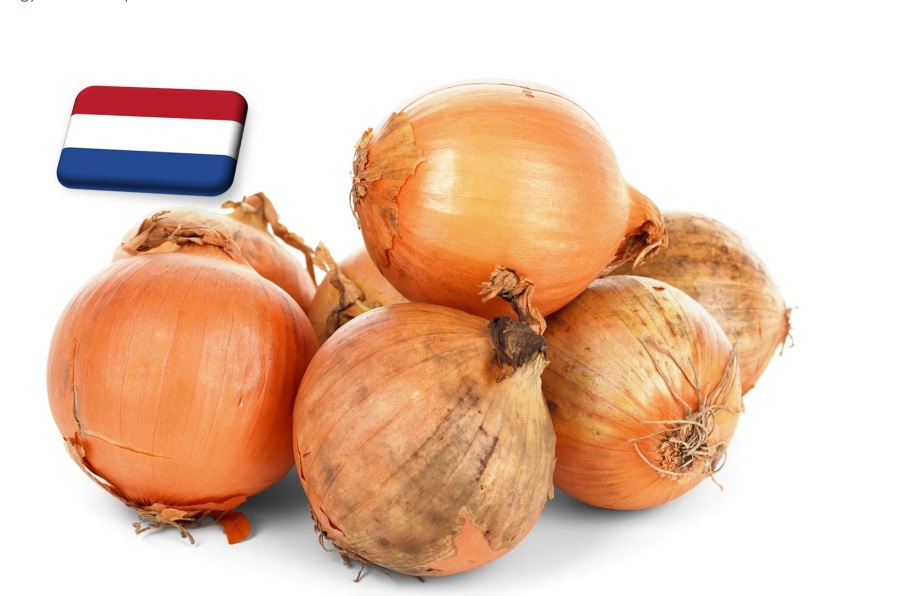 Hollandia: továbbra is kérdéses az idei hagyma minősége