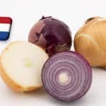 Hollandia: túlkínálat a szabadföldi zöldségfélék európai piacán 