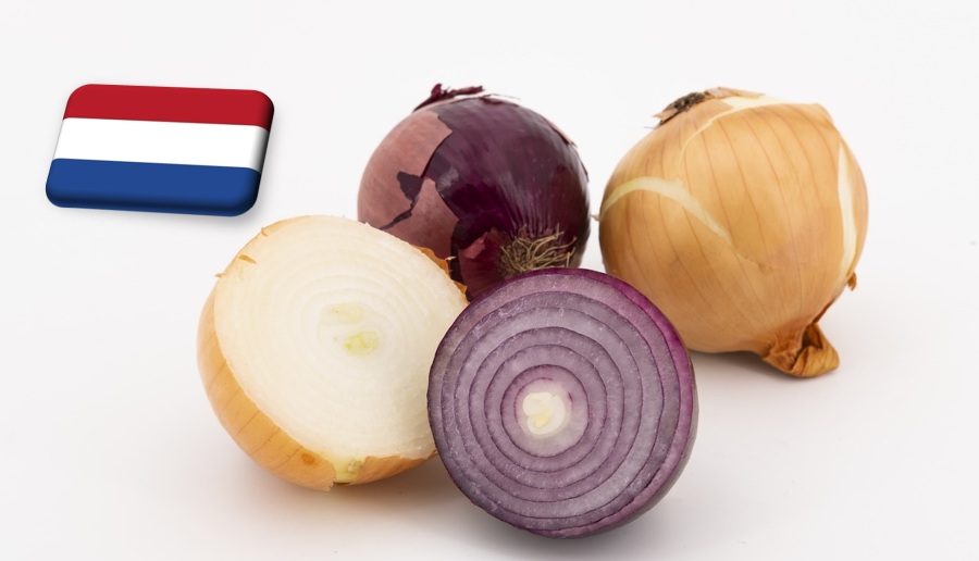 Hollandia: egyelőre kivárnak a hagymaexportőrök