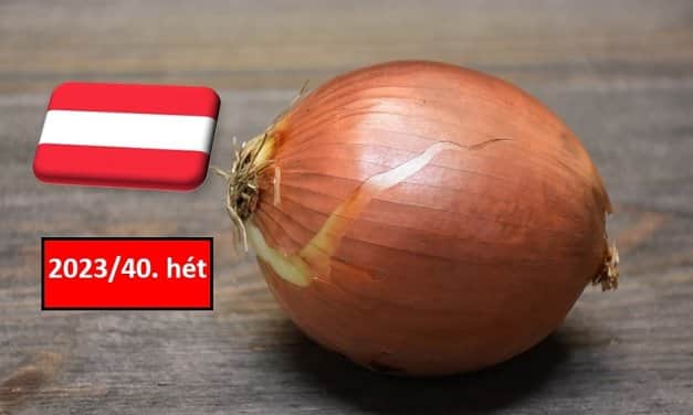 Ausztria: a 40. héten tovább csökkent a vöröshagyma ára