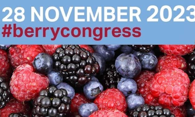 Global Berry Congress – 2023. november 28., Rotterdam