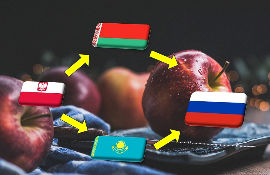 Lengyelország: továbbra is utat talál az alma Oroszországba - FruitVeB