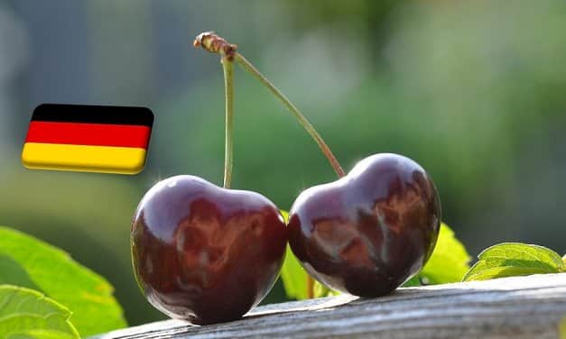 Németország: 16%-kal csökkent a 2023-as cseresznyetermés az előző évhez képest