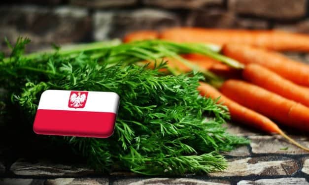 Lengyelország: október közepén emelkedni kezdett sárgarépa ára