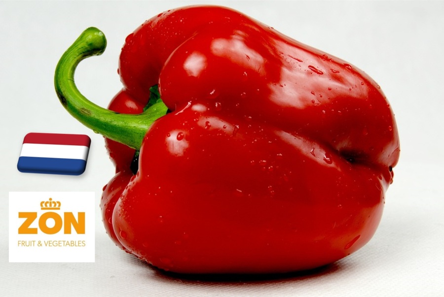 Hollandia: ismét megjelent az októberi csúcs a paprika árában