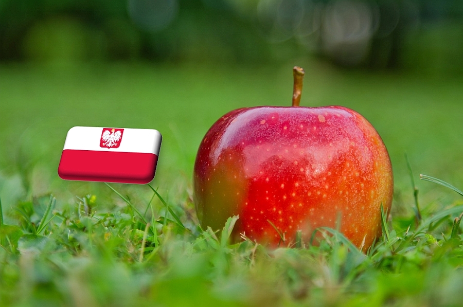 Lengyelország: a negyedik negyedéves almaexport megugrása várható
