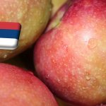Szerbia: az átalakuló almaágazatban idén 20-25%-kal kisebb termés várható a tavalyinál 