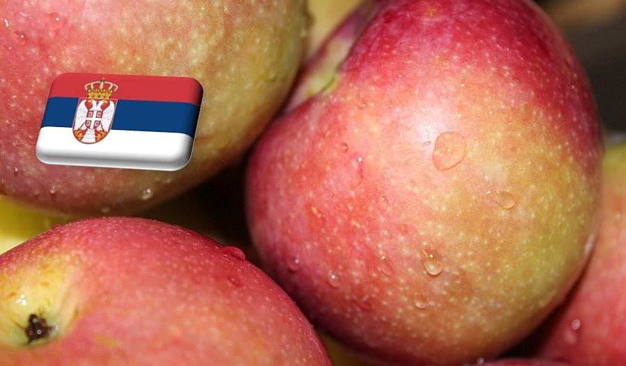 Szerbia: jövőre már érkezhet Kínába a szerb alma