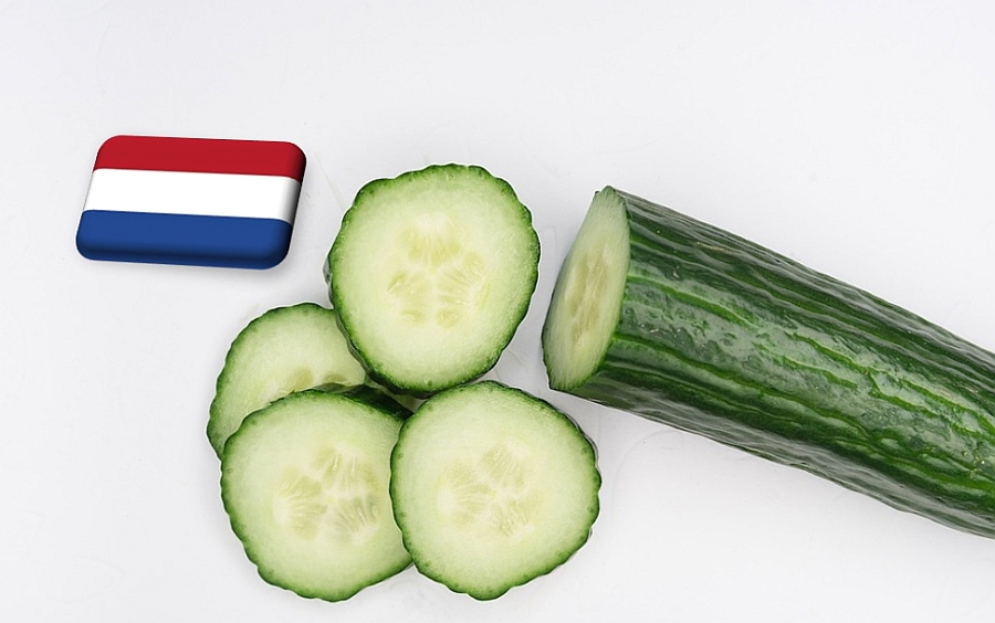 Hollandia: november közepén átmeneti gödörbe került az uborka ára
