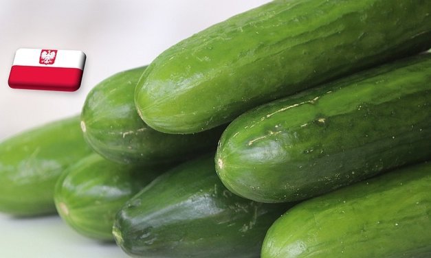 Lengyelország: hamarosan rekordot dönt a hajtatott uborka ára