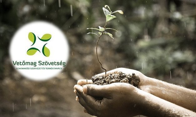 AM: a magyar vetőmagtermesztés az agrárium egyik legversenyképesebb ágazata