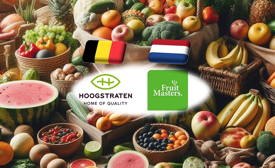 Benelux: együttműködést tervez a Royal FruitMasters és a Coöperatie Hoogstraten