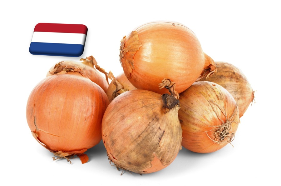 Hollandia: főként a kínálat alakítja a hagyma globális piacát
